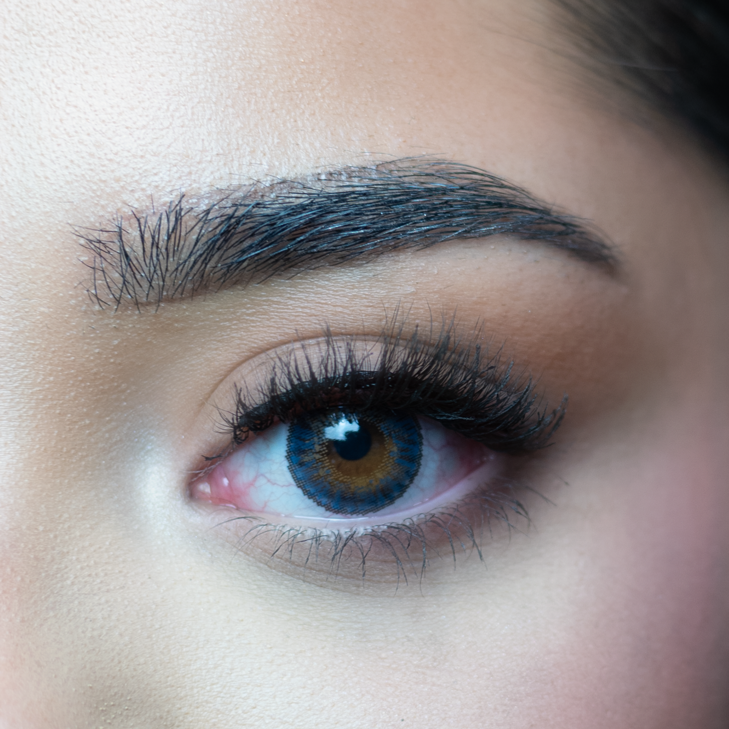 Blue | complete lens set