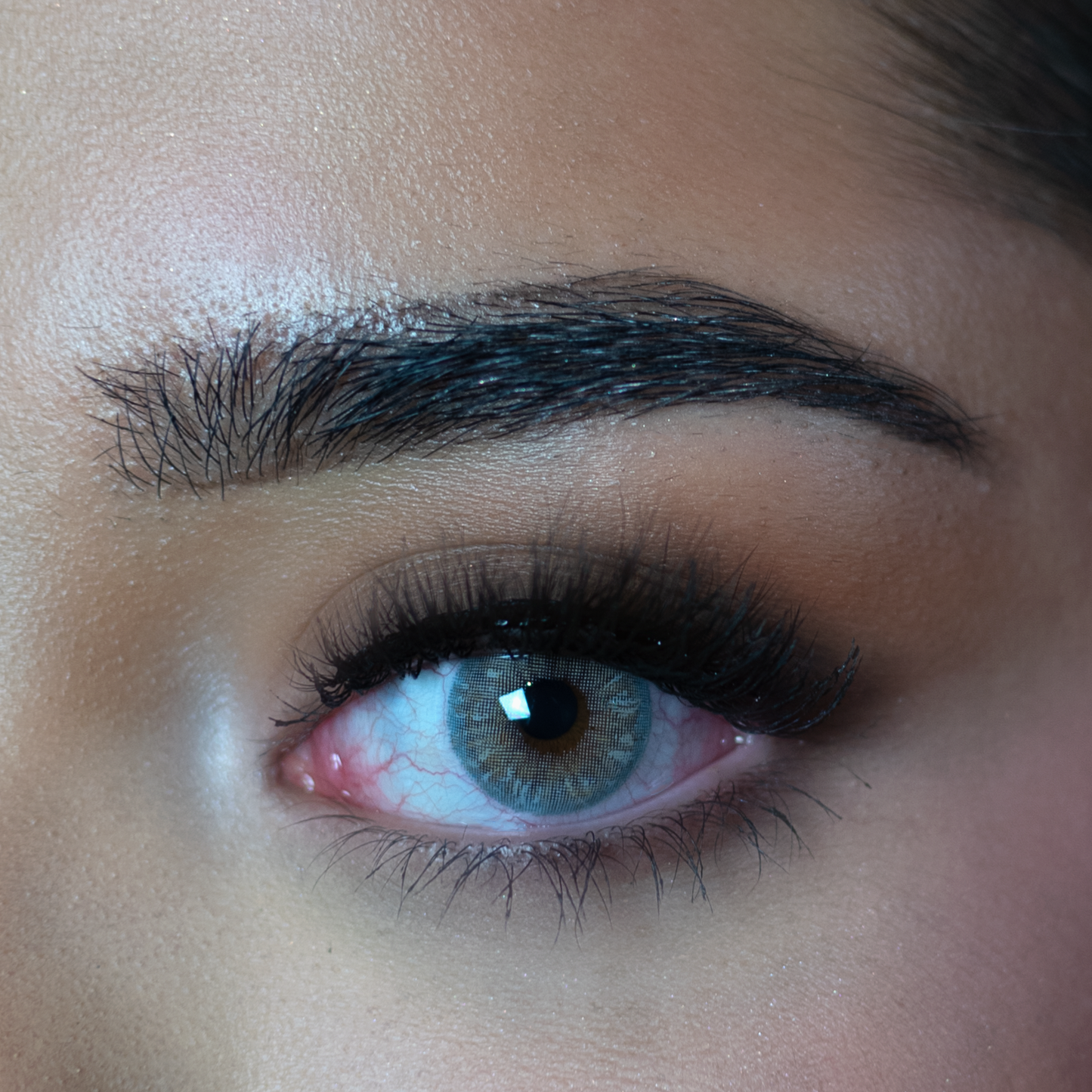 Lolite Gray