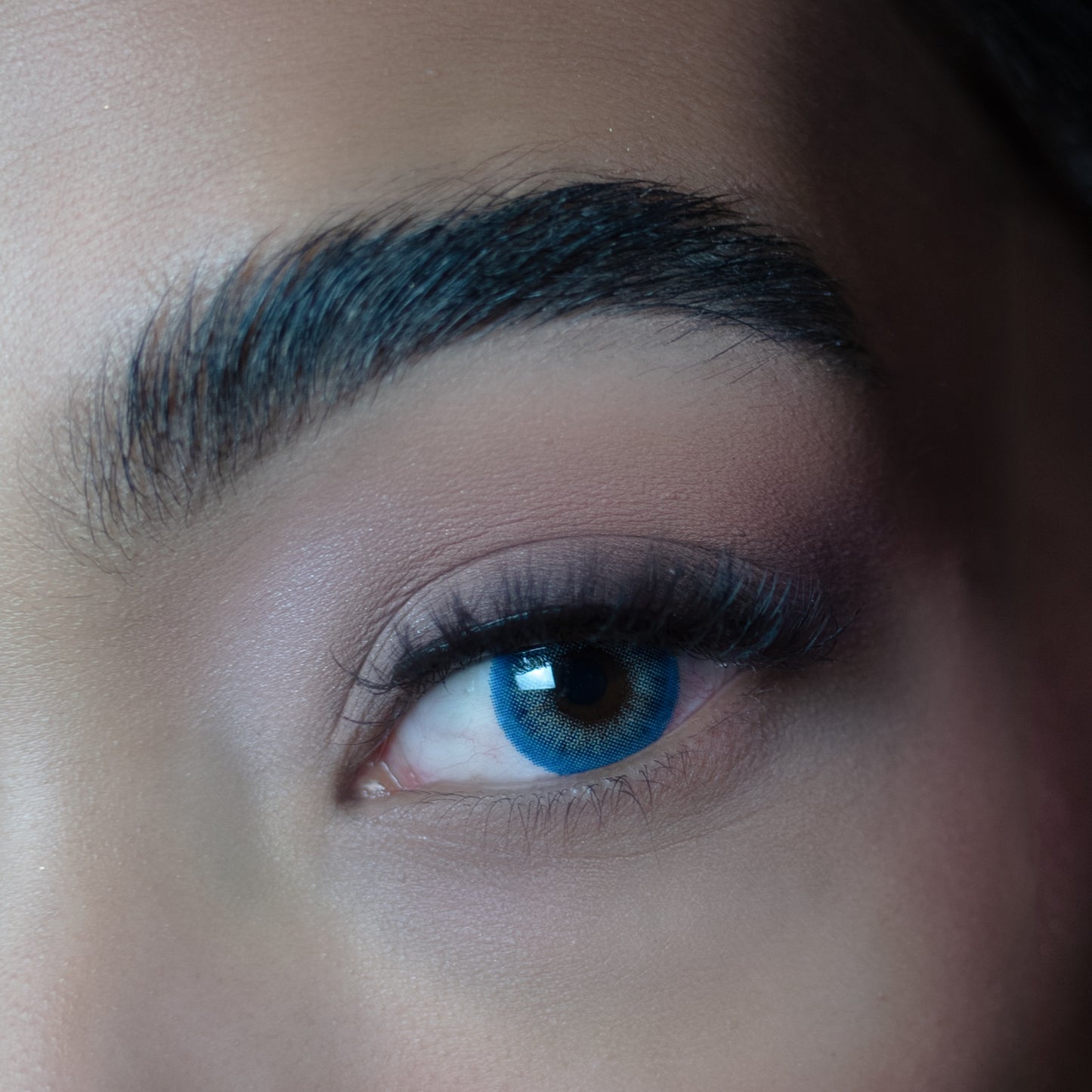 Wildcat Blue