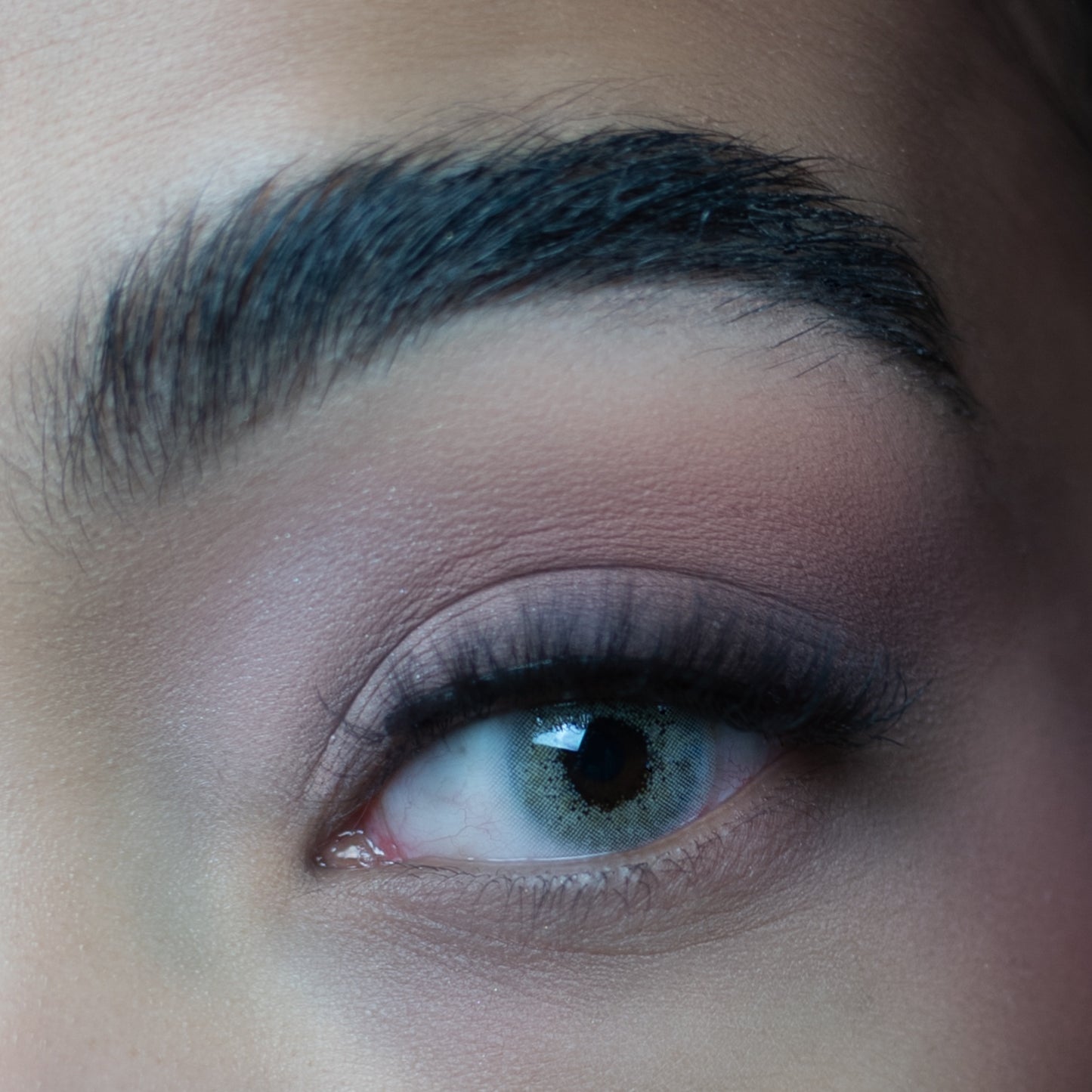 Ocean Cyan Gray